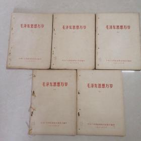 毛泽东思想万岁(2-6)