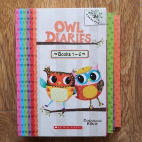 Owl Diaries A Branches Book猫头鹰日记1-6册英文原版 全6册 礼盒装 英语 点读版