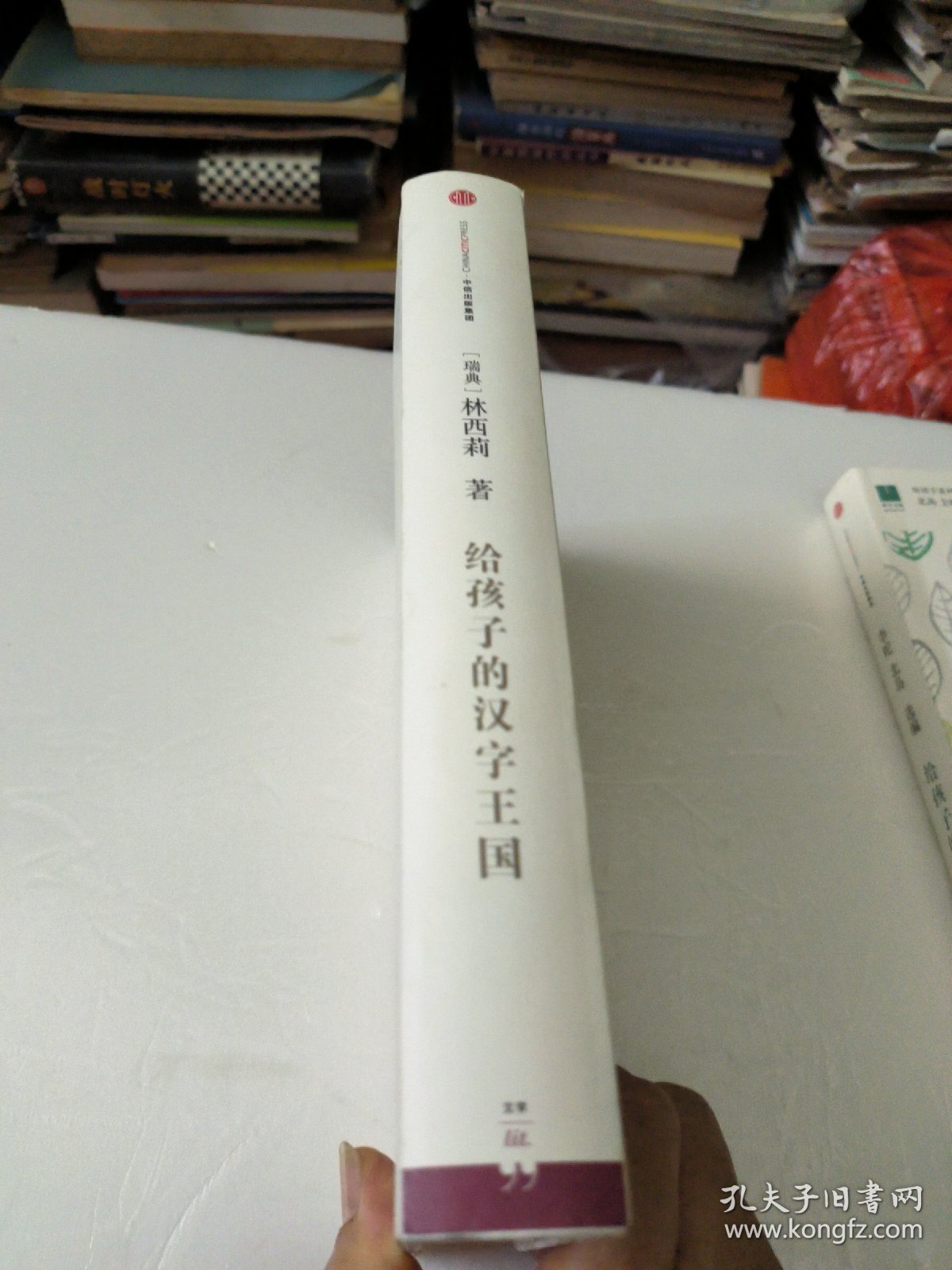 给孩子的汉字王国