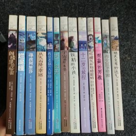 长青藤国际大奖小说书系