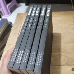 王小波全集（第一卷 杂文）：思维的乐趣(第二卷杂文):我的精神家园、(第三卷长篇小说)万寿寺、(第四卷长篇小说)红拂夜奔、(第五卷长篇小说)寻找无双 东宫.西宫(一共5本合售)