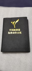 中国跆拳道标准动作示范