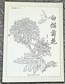 从起步到入门三：白描菊花