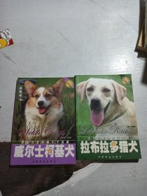 威尔士柯基犬