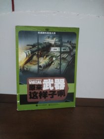 权威百科视觉大系 原来武器这样子啊（全彩）
