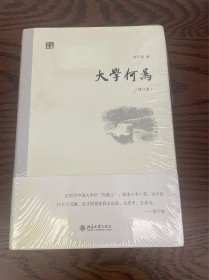 大学何为