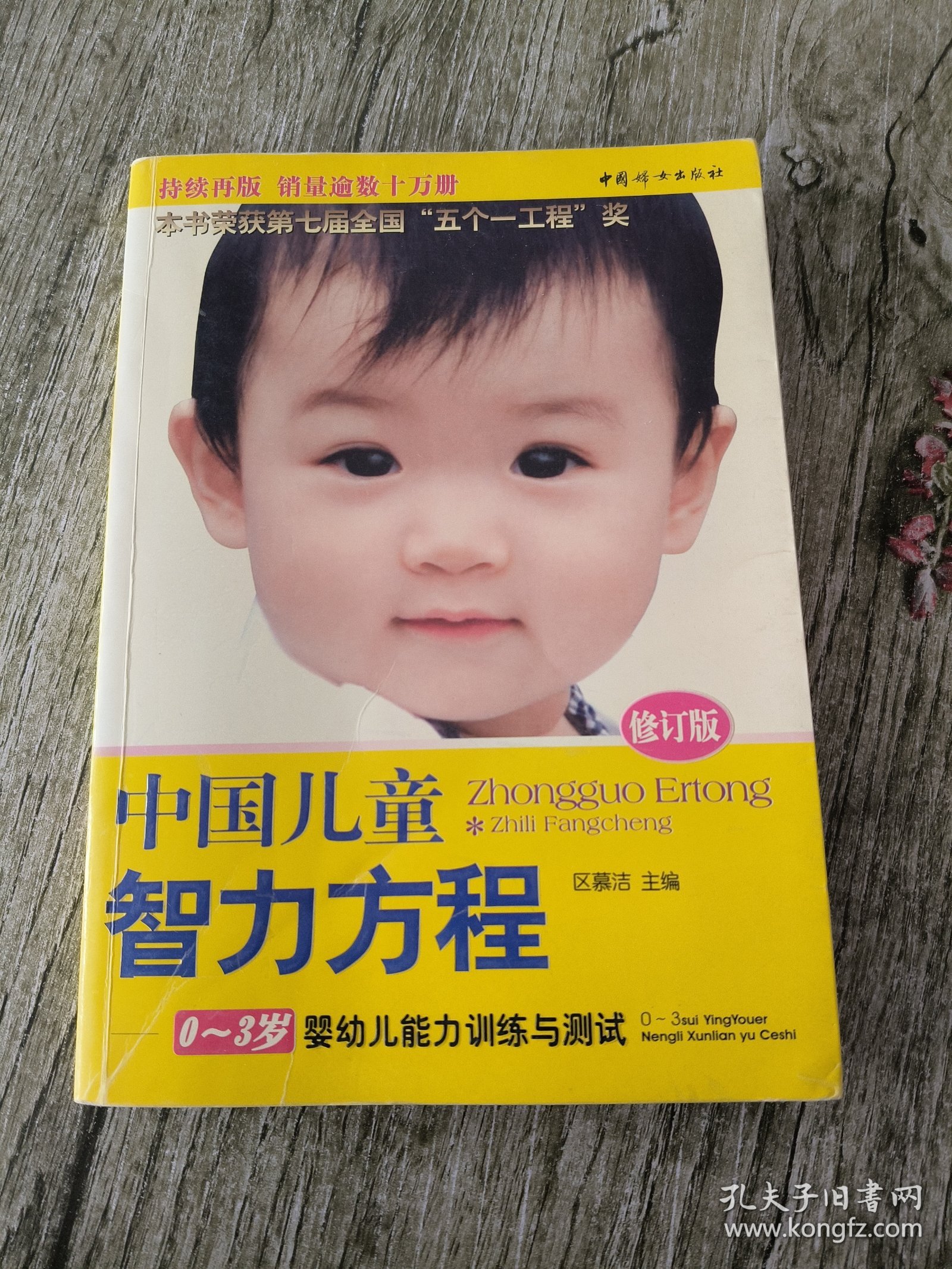 中国儿童智力方程：0-3岁婴幼儿能力训练与测试/中国儿童培养方案