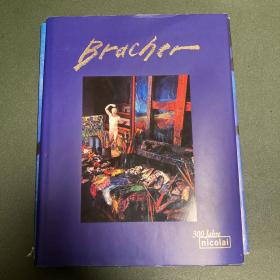 bracher （carlos bracher）