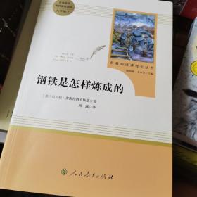 统编语文教材配套阅读 八年级下：钢铁是怎样炼成的/名著阅读课程化丛书