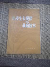 小麦生长规律与栽培技术