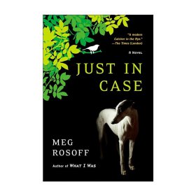 Just in Case 少年凯斯的荒诞之旅 卡内基儿童文学奖 How I Live Now作者Meg Rosoff