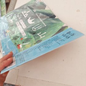 中国第一本全彩幼儿画刊 看图说话 2020.11