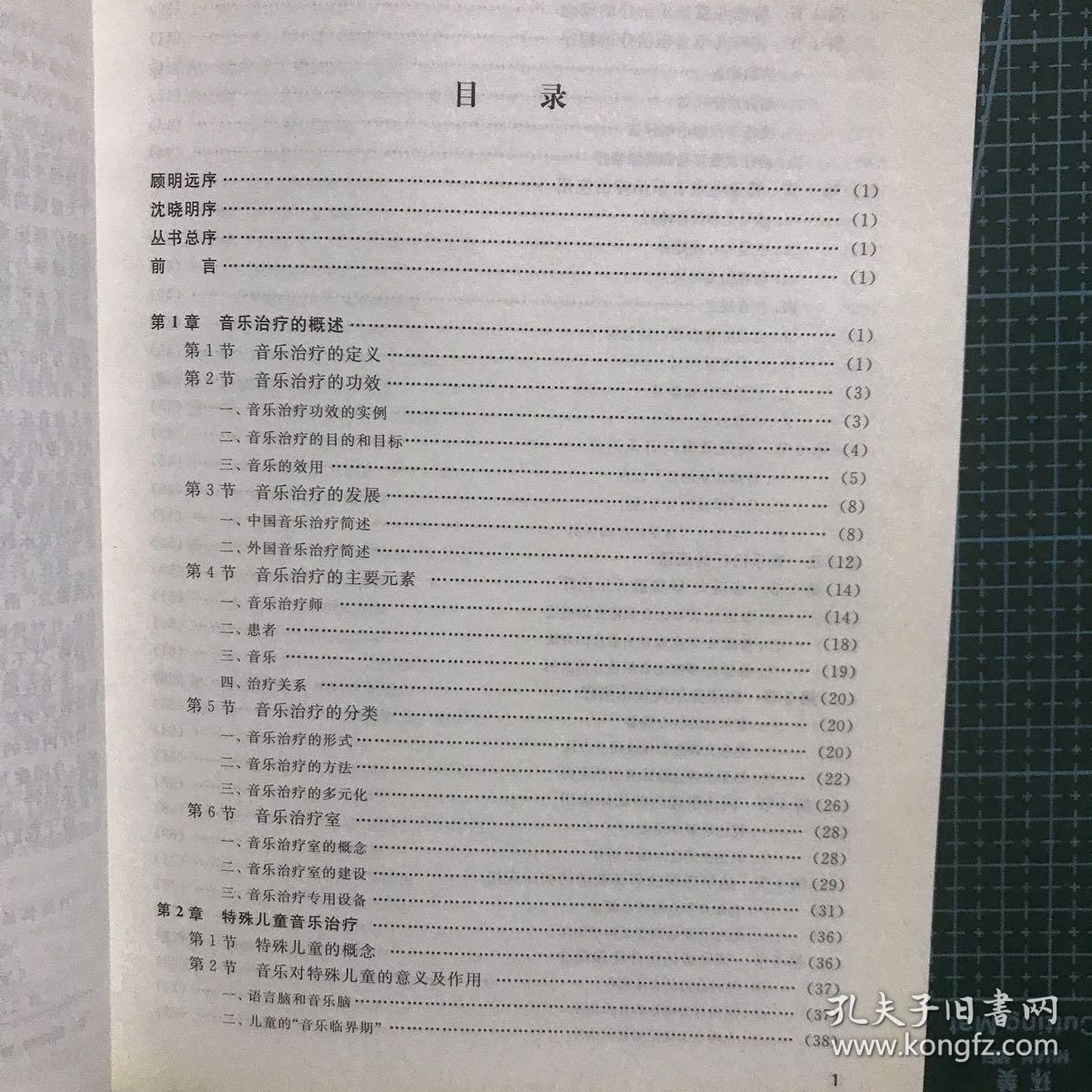 特殊儿童的音乐治疗/21世纪特殊教育创新教材·康复与训练系列