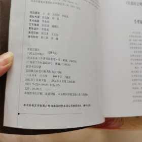 安第斯之谜：寻找黄金国