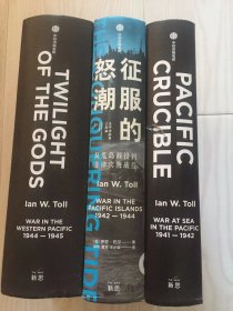 征服的怒潮 三本套