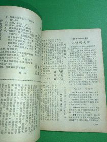 电影介绍1981/2