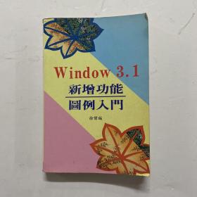 Windows 3.1 新增功能图例入门