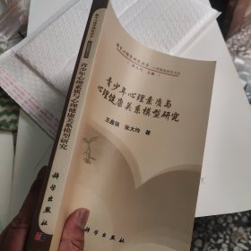 教育心理学研究丛书·心理健康教育书系：青少年心理素质与心理健康关系模型研究