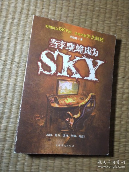 当李晓峰成为SKY