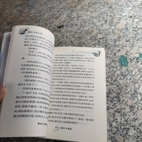梦幻飞翔岛