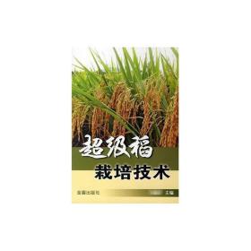 超级稻栽培技术 种植业 峰