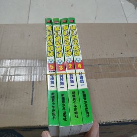 我们的足球场：四本合售