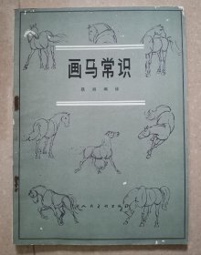 画马常识