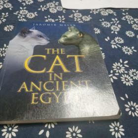 THE CAT IN ANCIENT EGYPT