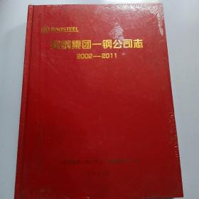 宝钢集团一钢公司志. 2002-2011