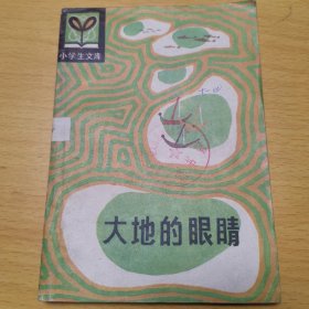 大地的眼睛(小学生文库,插图本)