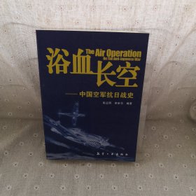 浴血长空：中国空军抗日战史
