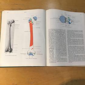 CONNINGHAM'S TEXTBOOK OF ANATOMY