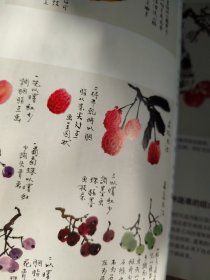 写意花鸟画基础班教材（上）