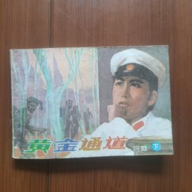 电视剧连环画：黄金通道一一铜鼓（下）