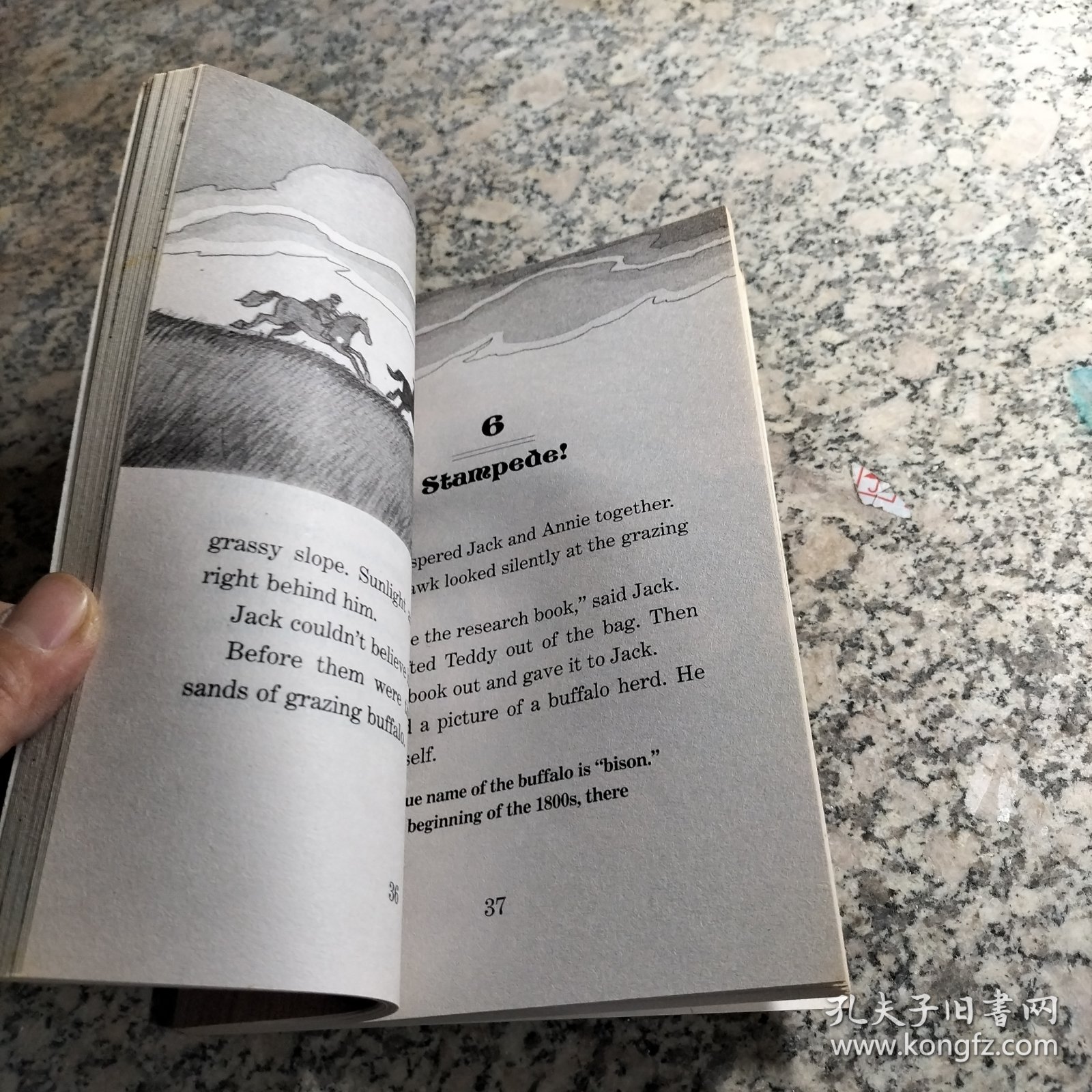 Buffalo before Breakfast (Magic Tree House #18)神奇树屋系列18：早餐前