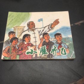 小雁齐飞 连环画