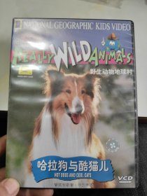 哈拉狗与酷猫儿VCD