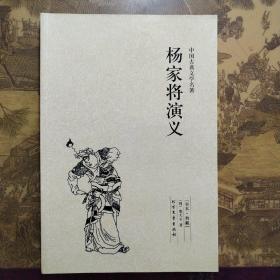 中国古典文学名著：杨家将演义