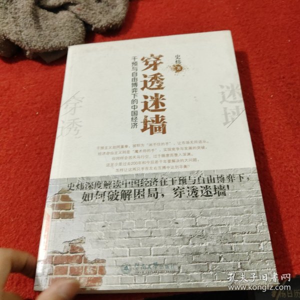 穿透迷墙：干预与自由博弈下的中国经济