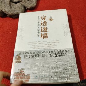 穿透迷墙：干预与自由博弈下的中国经济