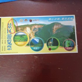 重庆武喀斯特旅游区天龙水峡地缝观光车全票25元