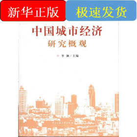 中國城市經(jīng)濟研究概觀