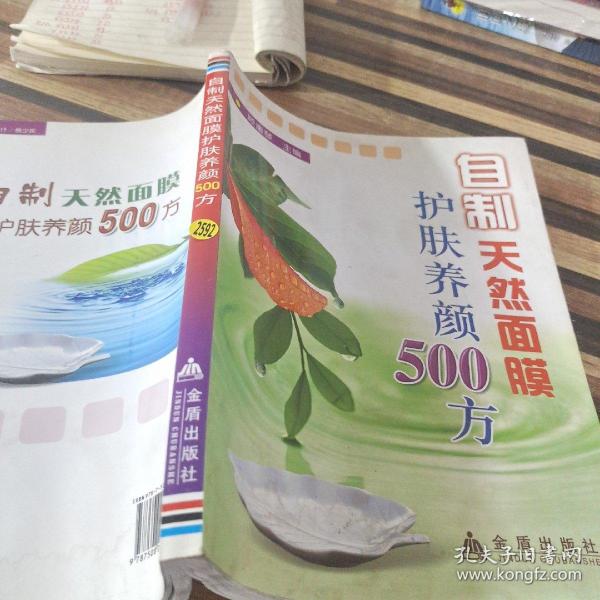 自制天然面膜护肤养顏500方