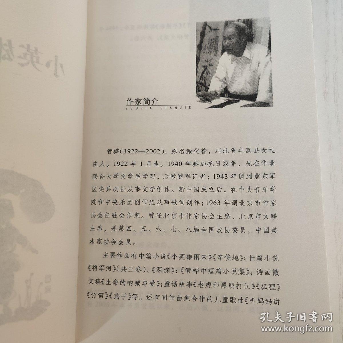 百年百部中国儿童文学经典书系 小英雄雨来