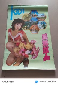 1991年挂历 风光宜人