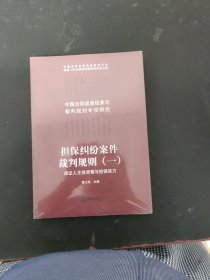 担保纠纷案件裁判规则（一） （未拆封）