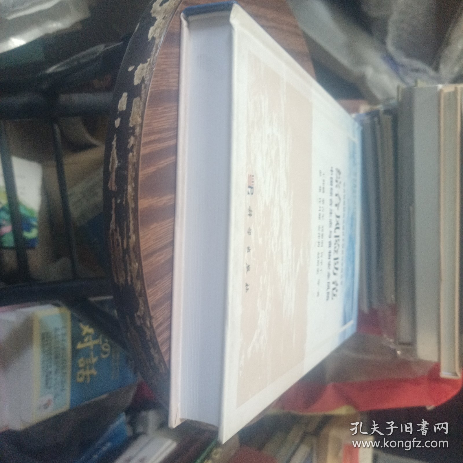 综合风险防范：中国综合生态与食物安全风险