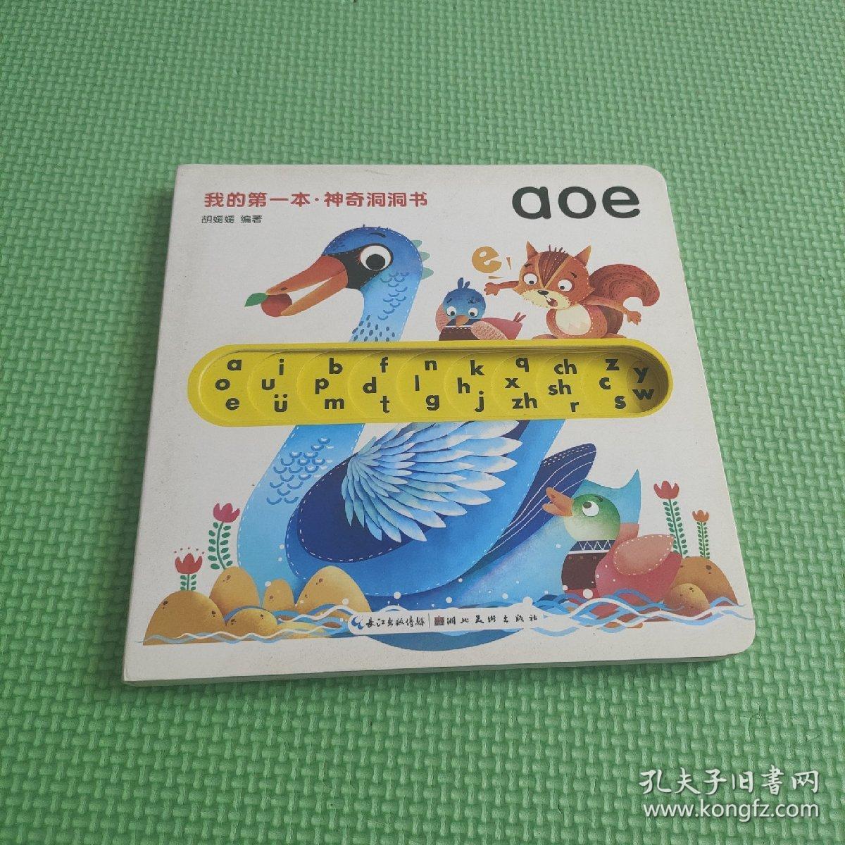 我的第一本·神奇洞洞书：AOE