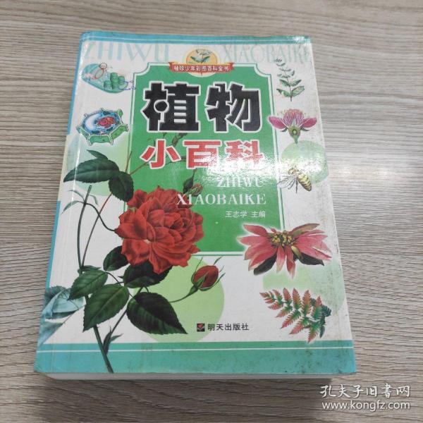 植物小百科——袖珍少年彩图百科全书