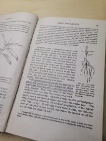 博坦的教科书（15页有划线，实物拍照上传品相如图，自定）